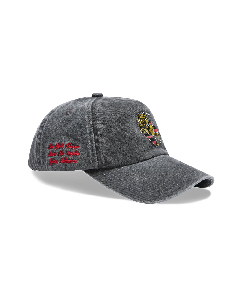 Shield Low Profile Trucker Cap Charcoal Regular Headwear - Grey