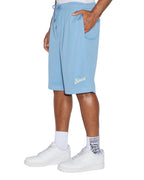 Mens Roll Mesh Short Blue Regular Walkshorts - Blue