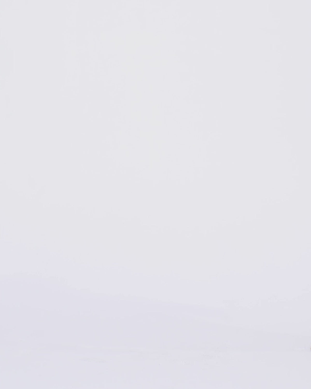 Womens Strider Dettached Jean Ecru Wide Denim Jeans - White